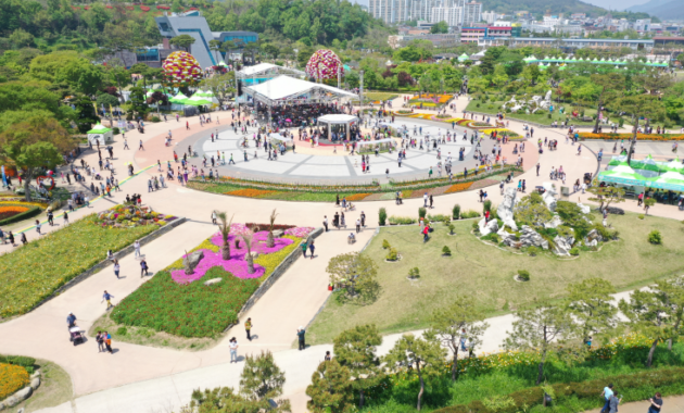 Hampyeong Butterfly Festival