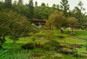 Lembah Hijau Desa Ijobalit