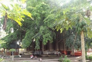 Makam Loang Baloq Lombok