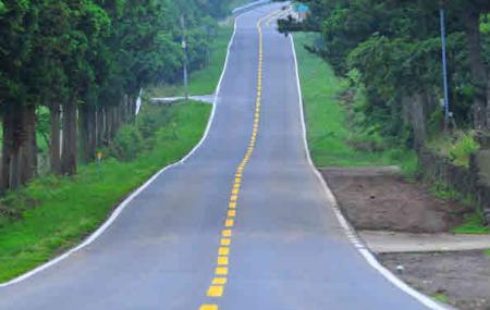 Menguak Misteri di Mysterious Road Jeju 1