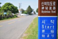 Menguak Misteri di Mysterious Road Jeju