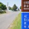 Menguak Misteri di Mysterious Road Jeju
