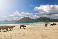 Pantai Selong Belanak