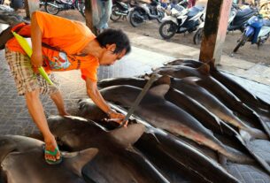 Pelabuhan Ikan Terbesar di Lombok