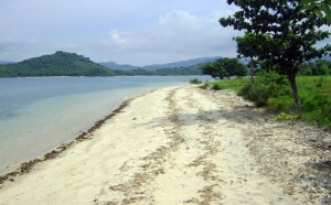 Sekotong
