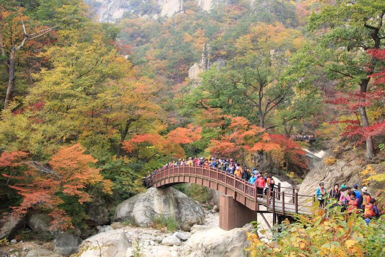 Sensasi Alam Pengunungan Seoraksan National Park Sensasi Alam Pengunungan Seoraksan National Park