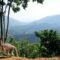 Soft Hiking di Pusuk Pass