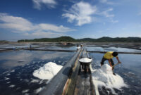 Ladang Garam Terbesar di Taepyeong Salt Farm