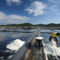 Ladang Garam Terbesar di Taepyeong Salt Farm