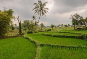 Tetebatu