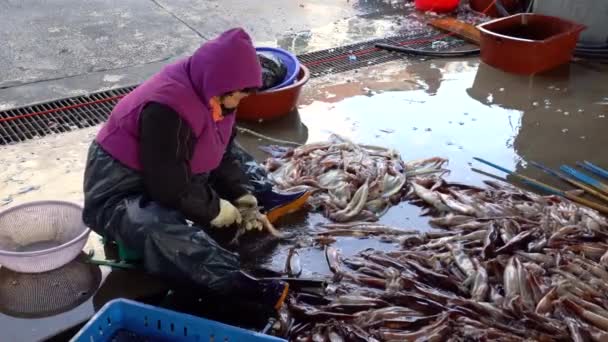 Ulleungdo FIsh Industry