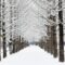 Winter Sonata di Nami Island