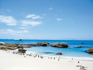 sokcho