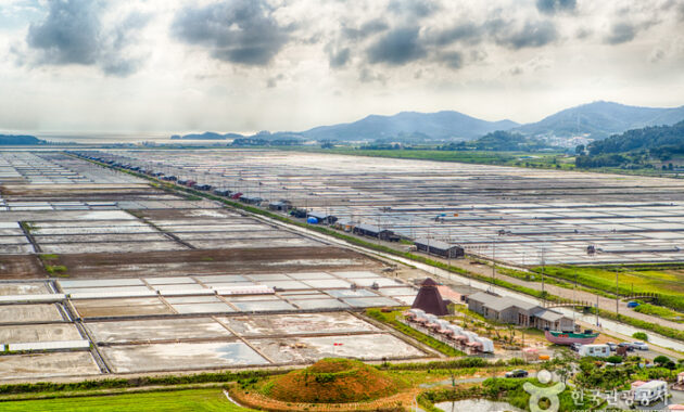 taepyeong salt farm korea selatan
