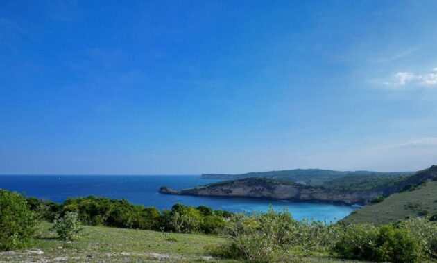 tanjung ringgit