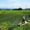 upo marsh korea selatan