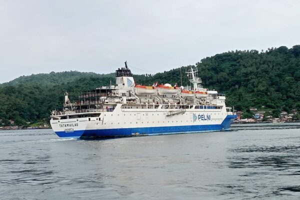 KM Tatamailau Pelni