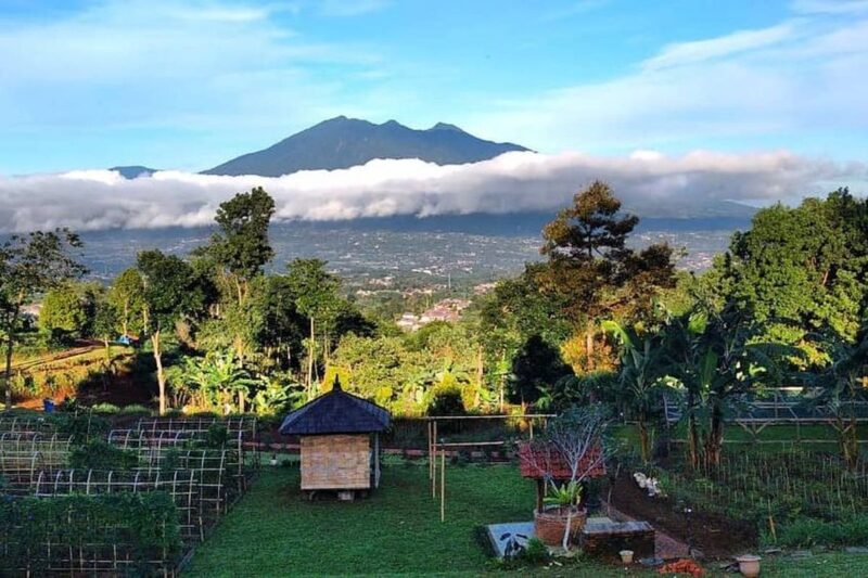 9 Tips Penting Sebelum Berkunjung ke OJ Organic Farm Bogor Merencanakan liburan ke OJ Organic Farm yang terletak di Cimande, Bogor, Jawa Barat? Sebelum berangkat, ada baiknya kamu menyimak beberapa tips berikut. Pemilik OJ Organic Farm, Rika, membagikan sejumlah saran agar pengalaman kunjunganmu semakin menyenangkan dan tak terlupakan. Berikut persiapan yang perlu kamu lakukan: 1. Kenakan Pakaian yang Menyerap Keringat Karena kamu akan menghabiskan waktu di alam terbuka dengan lahan yang cukup luas, sangat disarankan untuk menggunakan pakaian berbahan ringan dan mudah menyerap keringat. Ini penting, terutama bagi anak-anak yang biasanya akan senang berlarian di lahan terbuka, bermain bola, menerbangkan layangan, atau bahkan bermain dengan ayam-ayam di kandang. Pakaian yang nyaman akan membuat aktivitas terasa lebih menyenangkan. 2. Gunakan Sepatu Boots atau Sandal Gunung Medan di OJ Organic Farm adalah area outdoor yang alami. Rika menyarankan pengunjung untuk memakai sepatu boots atau sandal gunung yang cocok untuk medan seperti ini. "Pakai boots untuk anak-anak atau pakai sepatu yang enggak licin," kata Rika saat ditemui beberapa waktu lalu. Memilih alas kaki yang tepat akan melindungi kaki dari licin dan meningkatkan kenyamanan saat berjalan di area perkebunan. 3. Siapkan Baju Ganti Anak-anak sering kali sangat menikmati aktivitas di alam hingga berkeringat atau bahkan kotor terkena tanah saat memanen buah atau sayuran. Membawa baju ganti yang bersih akan membuat perjalanan pulang tetap nyaman. "Di kita juga sudah ada kamar mandi dan airnya segar banget. Pengunjung ada yang mandi di sana dan mereka suka banget," sambung Rika. Fasilitas kamar mandi yang tersedia di lokasi memungkinkan Anda untuk mandi dan berganti pakaian sebelum pulang. 4. Bawa Topi, Kacamata Hitam, dan Sunblock Cuaca di Bogor sering kali berubah, dan terkadang panas terik menyengat. Untuk mengantisipasinya, jangan lupa membawa topi dan kacamata hitam. Bagi Anda yang memiliki kulit sensitif atau mudah terbakar matahari, Rika juga sangat menyarankan untuk mengoleskan sunblock sebelum memulai aktivitas di luar ruangan. 5. Jangan Lupa Lotion Anti-Nyamuk Berada di tengah perkebunan yang asri berarti Anda juga harus siap dengan kehadiran nyamuk. Agar perjalanan Anda tidak terganggu, pastikan untuk membawa lotion anti-nyamuk dan mengoleskannya secara berkala. 6. Bawa Obat-Obatan Pribadi Sebagai bentuk antisipasi, Rika menyarankan pengunjung untuk membawa obat-obatan pribadi. Ini penting untuk berjaga-jaga jika timbul alergi atau jika anak-anak merasa tidak enak badan saat berada di lokasi. 7. Siapkan Jas Hujan atau Payung Cuaca di Indonesia memang terkenal mudah berubah. Tak ada salahnya untuk selalu sedia payung atau jas hujan sebelum hujan turun. Dengan begitu, Anda tak perlu repot mencari tempat berteduh ketika sedang asyik bermain di tengah kebun. Menariknya, jika Anda bersabar menunggu hujan reda dengan perlindungan jas hujan atau payung, Anda akan berkesempatan melihat momen indah turunnya kabut dari gunung yang menyelimuti perkebunan. "Suka turun kabut. Kalau yang suka mah suka, tapi kalau yang enggak suka ya jadi bete gitu. Tapi kalau mau menunggu kabut turun kan suasananya juga beda," tutur Rika. 8. Bawa Minuman dan Camilan Ekstra Meskipun paket piknik privat di OJ Organic Farm sudah menyediakan makan siang, tidak ada salahnya untuk membawa stok camilan dan air minum tambahan, terutama untuk anak-anak dan orang tua yang mungkin lebih cepat lapar dan haus selama beraktivitas. 9. Lakukan Reservasi H-7 Salah satu tips terpenting adalah melakukan reservasi minimal H-7 sebelum kedatangan. Rika menjelaskan bahwa seringkali terjadi perubahan cuaca yang tidak terduga. Jika cuaca dianggap tidak mendukung untuk piknik, pihak OJ Organic Farm akan memberikan rekomendasi untuk melakukan reschedule di lain hari. "Jadi kita selalu bilang ke pengunjung bahwa ini di gunung ya. Kalau kondisinya lagi seperti ini, kita enggak rekomendasi. Kita akan reschedule," tutur Rika. Dengan melakukan reservasi jauh-jauh hari, Anda bisa mendapatkan informasi terkini mengenai kondisi cuaca dan memastikan liburan Anda berjalan lancar. Dengan mempersiapkan 9 hal di atas, kunjungan Anda ke OJ Organic Farm dijamin akan menjadi pengalaman yang lebih nyaman, aman, dan berkesan. Selamat berlibur!