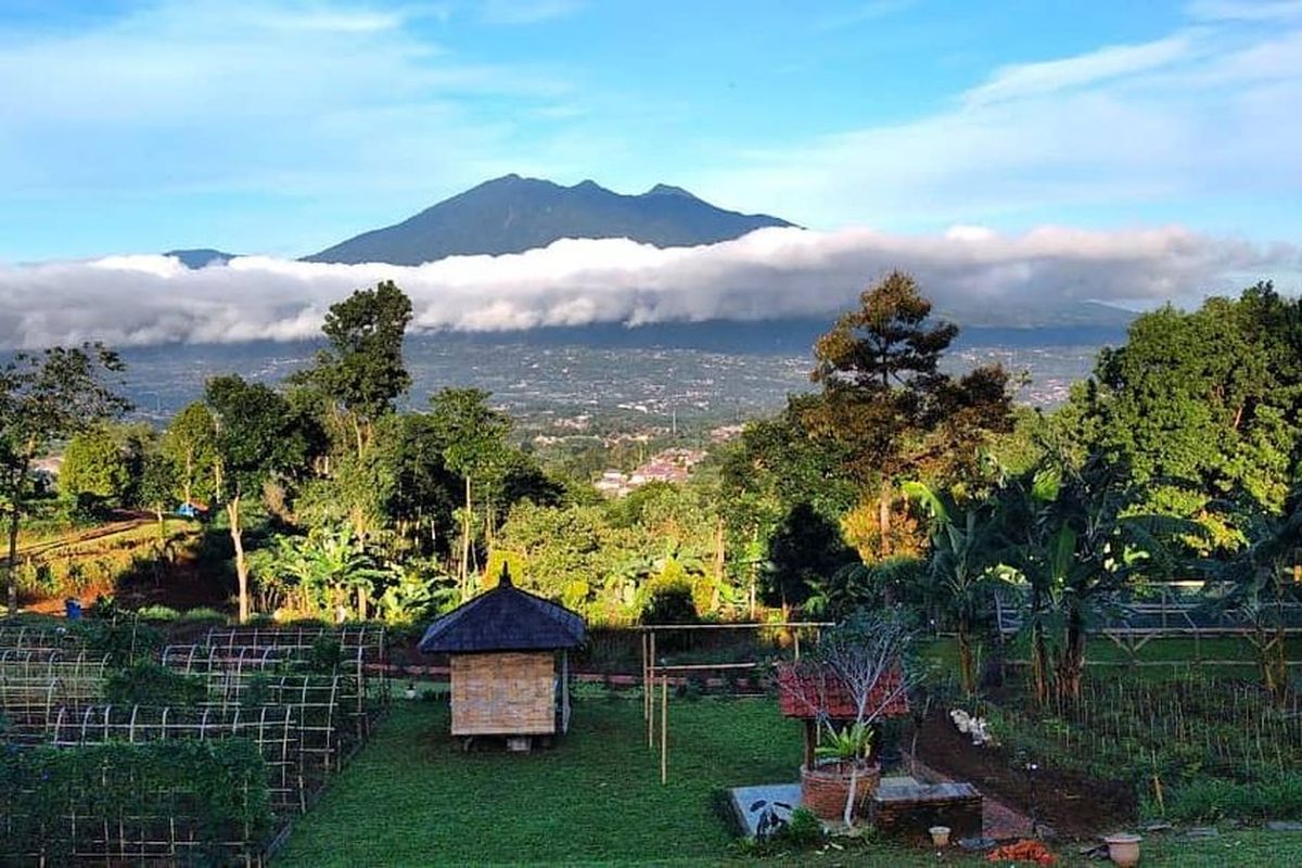9 Tips Penting Sebelum Berkunjung ke OJ Organic Farm Bogor Merencanakan liburan ke OJ Organic Farm yang terletak di Cimande, Bogor, Jawa Barat? Sebelum berangkat, ada baiknya kamu menyimak beberapa tips berikut. Pemilik OJ Organic Farm, Rika, membagikan sejumlah saran agar pengalaman kunjunganmu semakin menyenangkan dan tak terlupakan. Berikut persiapan yang perlu kamu lakukan: 1. Kenakan Pakaian yang Menyerap Keringat Karena kamu akan menghabiskan waktu di alam terbuka dengan lahan yang cukup luas, sangat disarankan untuk menggunakan pakaian berbahan ringan dan mudah menyerap keringat. Ini penting, terutama bagi anak-anak yang biasanya akan senang berlarian di lahan terbuka, bermain bola, menerbangkan layangan, atau bahkan bermain dengan ayam-ayam di kandang. Pakaian yang nyaman akan membuat aktivitas terasa lebih menyenangkan. 2. Gunakan Sepatu Boots atau Sandal Gunung Medan di OJ Organic Farm adalah area outdoor yang alami. Rika menyarankan pengunjung untuk memakai sepatu boots atau sandal gunung yang cocok untuk medan seperti ini. "Pakai boots untuk anak-anak atau pakai sepatu yang enggak licin," kata Rika saat ditemui beberapa waktu lalu. Memilih alas kaki yang tepat akan melindungi kaki dari licin dan meningkatkan kenyamanan saat berjalan di area perkebunan. 3. Siapkan Baju Ganti Anak-anak sering kali sangat menikmati aktivitas di alam hingga berkeringat atau bahkan kotor terkena tanah saat memanen buah atau sayuran. Membawa baju ganti yang bersih akan membuat perjalanan pulang tetap nyaman. "Di kita juga sudah ada kamar mandi dan airnya segar banget. Pengunjung ada yang mandi di sana dan mereka suka banget," sambung Rika. Fasilitas kamar mandi yang tersedia di lokasi memungkinkan Anda untuk mandi dan berganti pakaian sebelum pulang. 4. Bawa Topi, Kacamata Hitam, dan Sunblock Cuaca di Bogor sering kali berubah, dan terkadang panas terik menyengat. Untuk mengantisipasinya, jangan lupa membawa topi dan kacamata hitam. Bagi Anda yang memiliki kulit sensitif atau mudah terbakar matahari, Rika juga sangat menyarankan untuk mengoleskan sunblock sebelum memulai aktivitas di luar ruangan. 5. Jangan Lupa Lotion Anti-Nyamuk Berada di tengah perkebunan yang asri berarti Anda juga harus siap dengan kehadiran nyamuk. Agar perjalanan Anda tidak terganggu, pastikan untuk membawa lotion anti-nyamuk dan mengoleskannya secara berkala. 6. Bawa Obat-Obatan Pribadi Sebagai bentuk antisipasi, Rika menyarankan pengunjung untuk membawa obat-obatan pribadi. Ini penting untuk berjaga-jaga jika timbul alergi atau jika anak-anak merasa tidak enak badan saat berada di lokasi. 7. Siapkan Jas Hujan atau Payung Cuaca di Indonesia memang terkenal mudah berubah. Tak ada salahnya untuk selalu sedia payung atau jas hujan sebelum hujan turun. Dengan begitu, Anda tak perlu repot mencari tempat berteduh ketika sedang asyik bermain di tengah kebun. Menariknya, jika Anda bersabar menunggu hujan reda dengan perlindungan jas hujan atau payung, Anda akan berkesempatan melihat momen indah turunnya kabut dari gunung yang menyelimuti perkebunan. "Suka turun kabut. Kalau yang suka mah suka, tapi kalau yang enggak suka ya jadi bete gitu. Tapi kalau mau menunggu kabut turun kan suasananya juga beda," tutur Rika. 8. Bawa Minuman dan Camilan Ekstra Meskipun paket piknik privat di OJ Organic Farm sudah menyediakan makan siang, tidak ada salahnya untuk membawa stok camilan dan air minum tambahan, terutama untuk anak-anak dan orang tua yang mungkin lebih cepat lapar dan haus selama beraktivitas. 9. Lakukan Reservasi H-7 Salah satu tips terpenting adalah melakukan reservasi minimal H-7 sebelum kedatangan. Rika menjelaskan bahwa seringkali terjadi perubahan cuaca yang tidak terduga. Jika cuaca dianggap tidak mendukung untuk piknik, pihak OJ Organic Farm akan memberikan rekomendasi untuk melakukan reschedule di lain hari. "Jadi kita selalu bilang ke pengunjung bahwa ini di gunung ya. Kalau kondisinya lagi seperti ini, kita enggak rekomendasi. Kita akan reschedule," tutur Rika. Dengan melakukan reservasi jauh-jauh hari, Anda bisa mendapatkan informasi terkini mengenai kondisi cuaca dan memastikan liburan Anda berjalan lancar. Dengan mempersiapkan 9 hal di atas, kunjungan Anda ke OJ Organic Farm dijamin akan menjadi pengalaman yang lebih nyaman, aman, dan berkesan. Selamat berlibur!