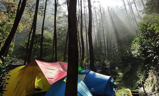 Camping di kawasan Curug Cilember, Bogor(Dok. Instagram resmi Curug Cilember, @curug_cilember)