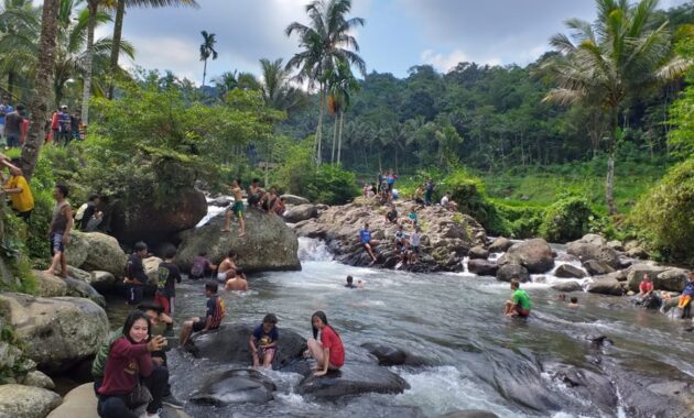 Curug Cadas Ngampar: Menyelami Keajaiban Alam dalam Pelukan Pegunungan Salak yang Menantang