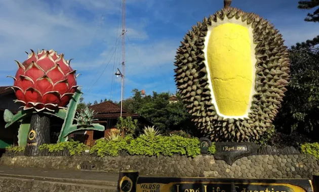 Kebun Durian Warso Farm