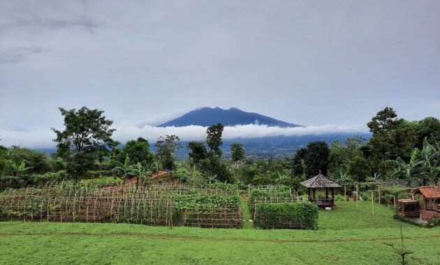 OJ Organic Farm (Dok. Instagram @ojorganicfarm)