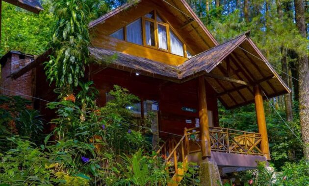 Villa di kawasan Curug Cilember, Bogor(Dok. Instagram resmi Curug Cilember, @curug_cilember)